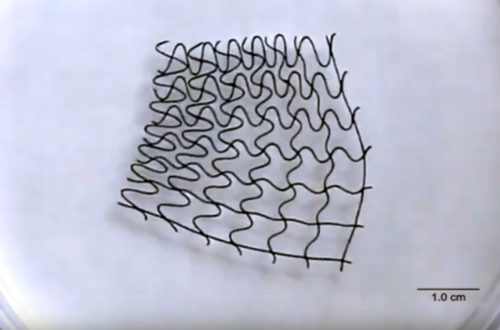 engineering careers Meet the world first 3D-Printed Soft Mesh Robots
